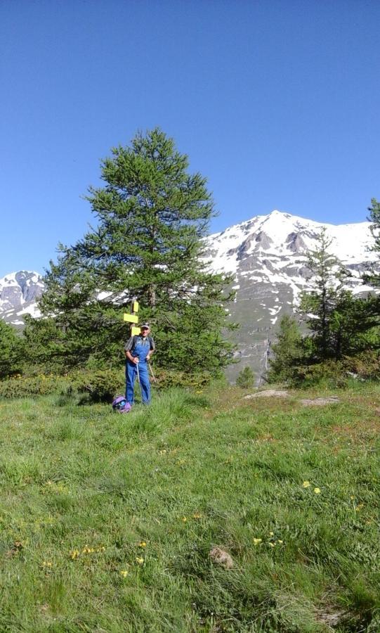 Hotel La Vanoise ベッサン エクステリア 写真
